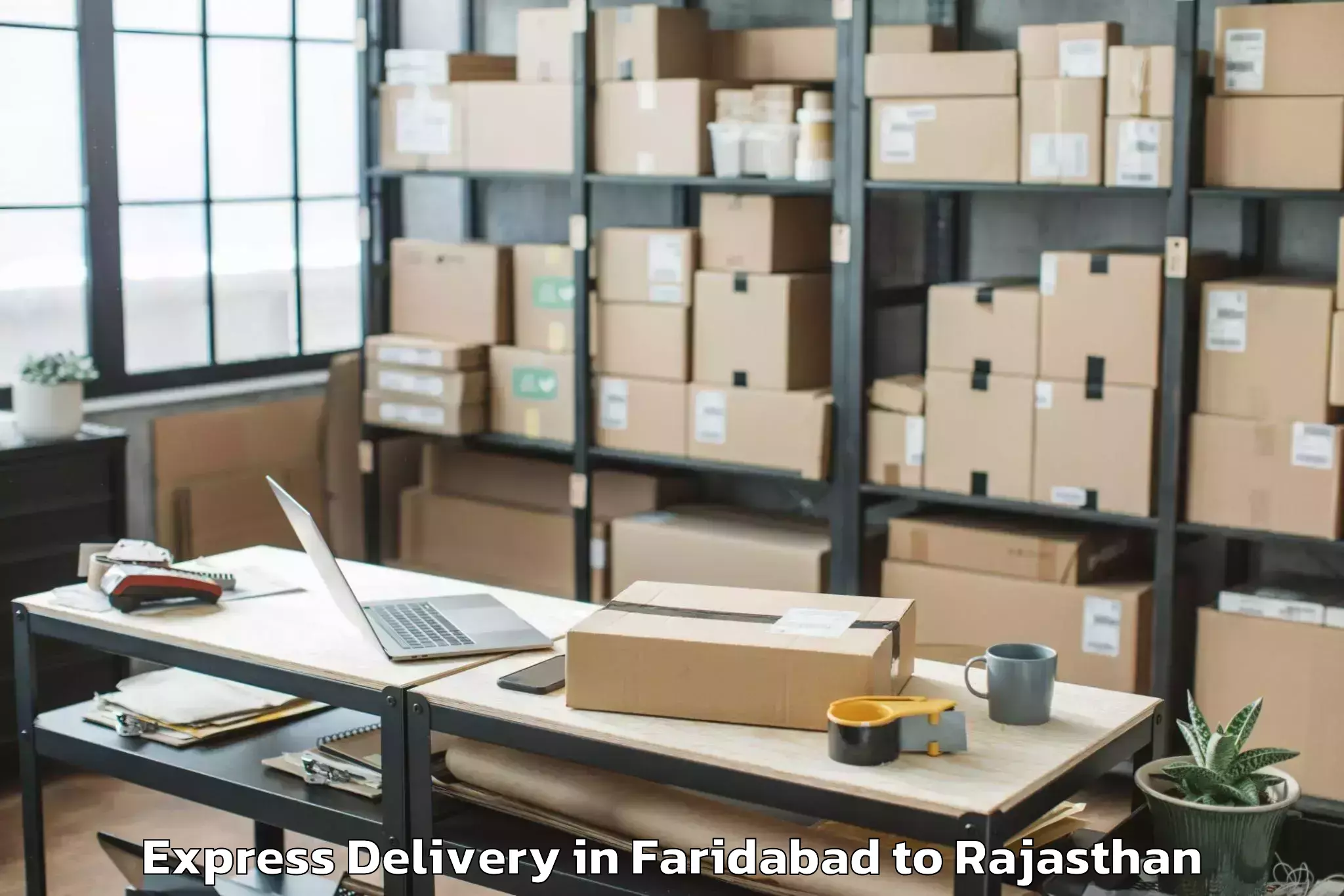 Professional Faridabad to Pratap University Jaipur Express Delivery